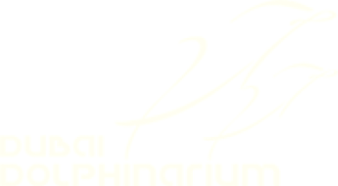 Media - Media 1
