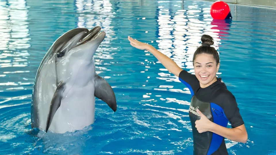 Swimming With Dolphins &#8211; Dubai Dolphinarium - Image 1