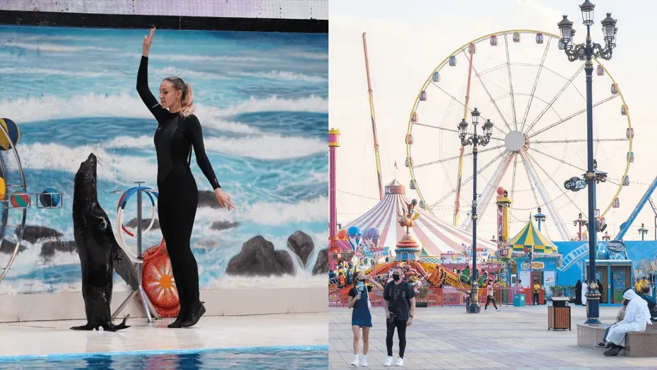 Dolphin & Seal Show + Global Village  – Combo - Image 1